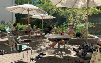Sommarkarantän hos oss