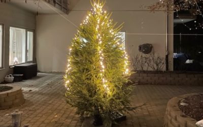 Dunderbackens julgran